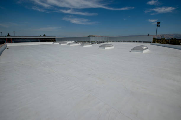 Best Solar Panel Roofing Installation  in St David, AZ