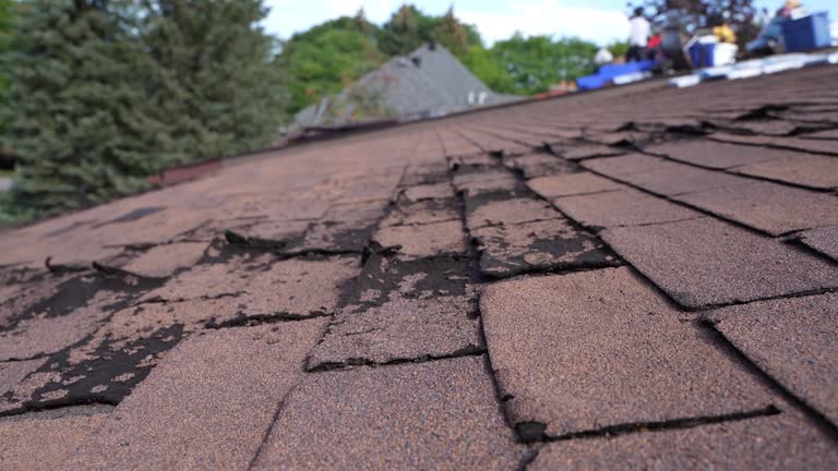 Best Roof Leak Repair  in St David, AZ