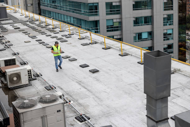 Best Roof Insulation Installation  in St David, AZ