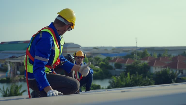 Best Skylight Installation and Repair  in St David, AZ