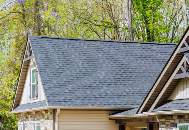 Steel Roofing in St David, AZ