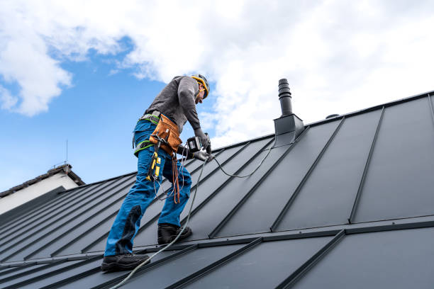 Best Sheet Metal Roofing  in St David, AZ