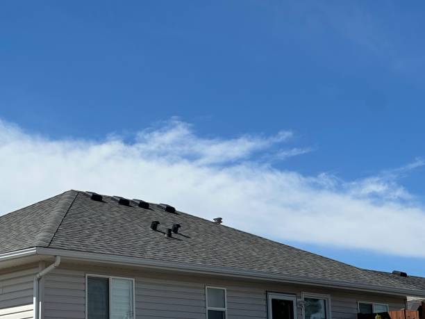 Best Roofing for New Construction  in St David, AZ
